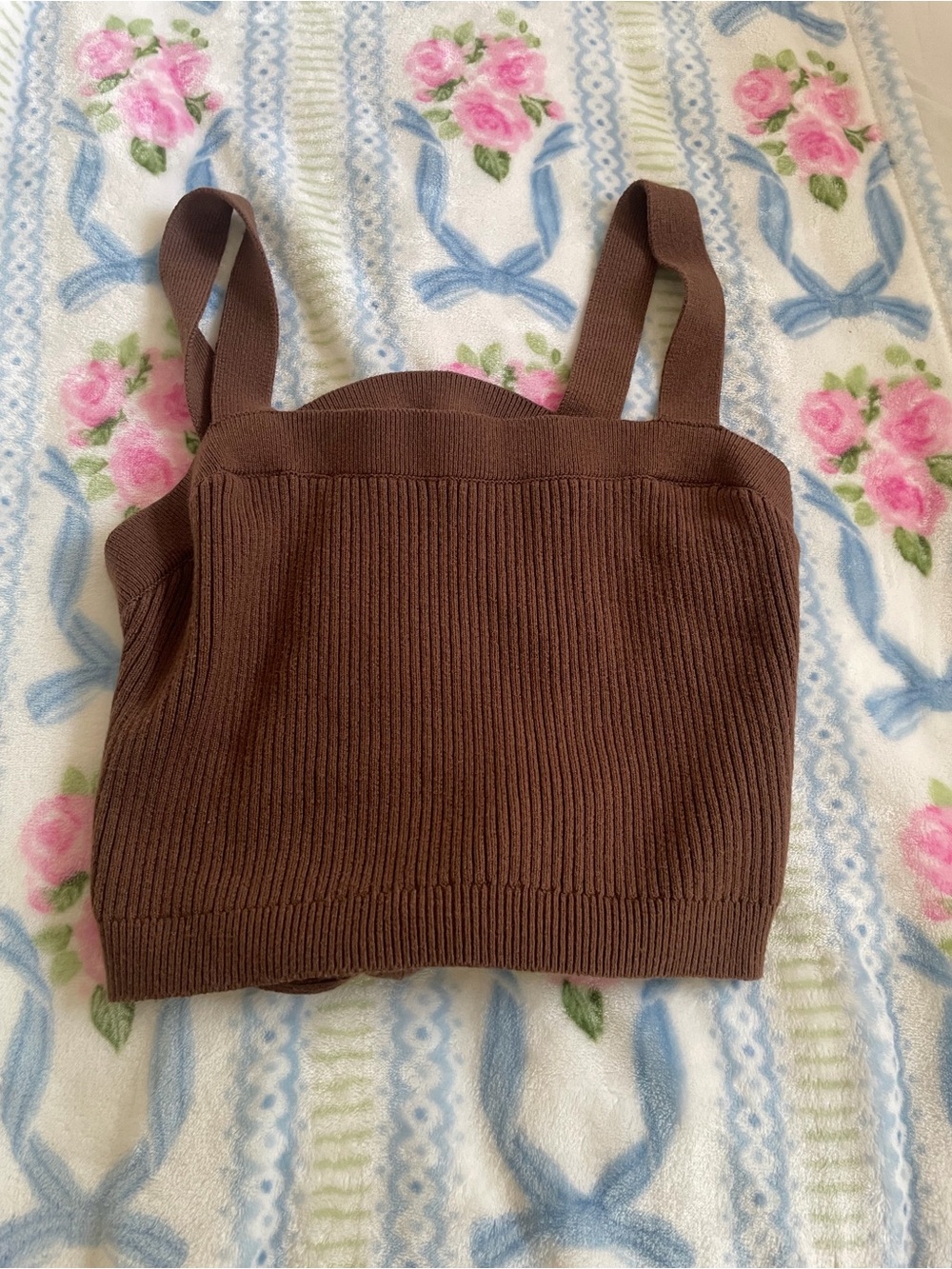 Hollister Brown Ribbed Knit Tank Top
